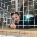 라이온 합기도 이미지