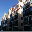 수원-0427 이미지