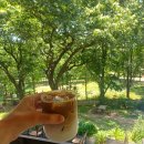 의정부 대형카페 데이트 서울근교 숲뷰 테라스 카페 포어레스트 후기