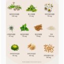 (주)디엘바이오 | 디엘오 릴렉스팩 올인원 리커버리 한포 영양제로 테아닌 유산균까지