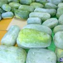 동아목장 이미지