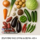 행복야채 - 구로구 개봉로17길 31 | 행복야채