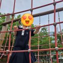 중평어린이공원 | <서울형 키즈카페, 노원구 중평공원점 후기>