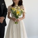 ANG 이미지