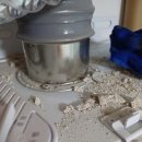 금빛크린 이미지