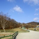 진부목장 이미지