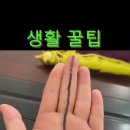 &#34;전우가 좋아&#34;---(798) &#34;건강 이야기&#34;---(303) (생활 꿀팁) &amp; (2025-9-25) (목) 주요 유투브 &amp; 이미지