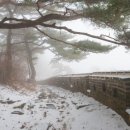 [2020-백파] ☆ 낙동강 1300리 종주 이야기 (29) ② 매학정→구미대교 이미지