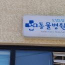 표선동물병원 이미지