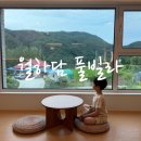 월하담 1 | 월하담 풀빌라 | 감성 가득 가평 신상 독채 풀빌라 후기