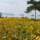 당산마을 화장실 Daum카페