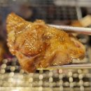 따스 양꼬치 | 또또또간집 '따스양꼬치' 고급갈비,갈비살꼬치,수제물만두