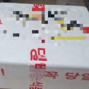 레어아쿠아 티스토리