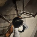 대고사옥 | [나홀로 하노이 1일차] 간단하게 일기쓰고 잘라고