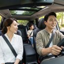 큰가내영농조합법인 | 카니발 하이브리드 장기렌트 가격 비교 비용 견적 후기