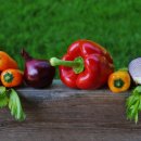 정일복싱 이미지