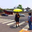 (주)대진고속관광 Daum카페