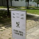 모뜨(motte)