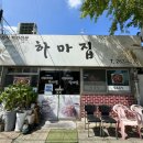하마집 티스토리