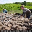 두바이호텔 이미지