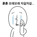 니콜제이 이미지