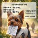 99 네이버블로그