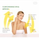 익산보떼