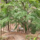 성림약수터 이미지