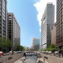 정도행정사 이미지