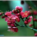 BBC 당구장 이미지