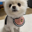 굳디컴퍼니 이미지