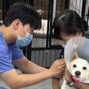 FM동물메디컬센터 이미지