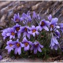 대촌마을(덕우리) 이미지