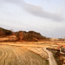 밤꽃민박