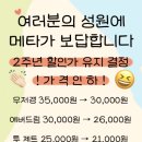메타이스케이프