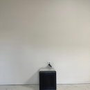 라라 펜션 이미지