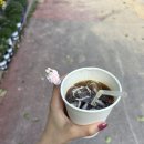 공주속눈썹n뷰티