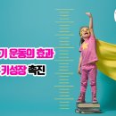 한국파워점핑줄넘기태권도체육관