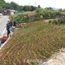 태장1동 행정복지센터 이미지