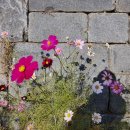 꾸역꾸역 걷다보니 이미지