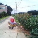 점촌마을회관 이미지