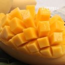 망고 쇼핑하우