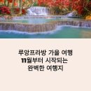 더 루앙 | 루앙프라방 가을 여행 꿀팁 총정리