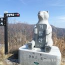 한배미농장 Daum카페