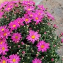 맑은샘농장 이미지