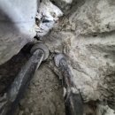 10단지 종합상가 | 인천누수탐지 업체 부평구 부개주공3단지 온수배관누수 후기