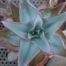 김재성농장 이미지