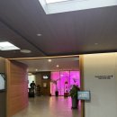 코오롱호텔 | 경주 코오롱호텔 조식 후기｜한식 양식 모두 즐기는 경주 코오롱호텔 조식 뷔페 솔직 리뷰