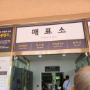 청풍랜드 | 제천가볼만한곳 청풍랜드 짚라인 후기