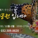 나비공원 이미지
